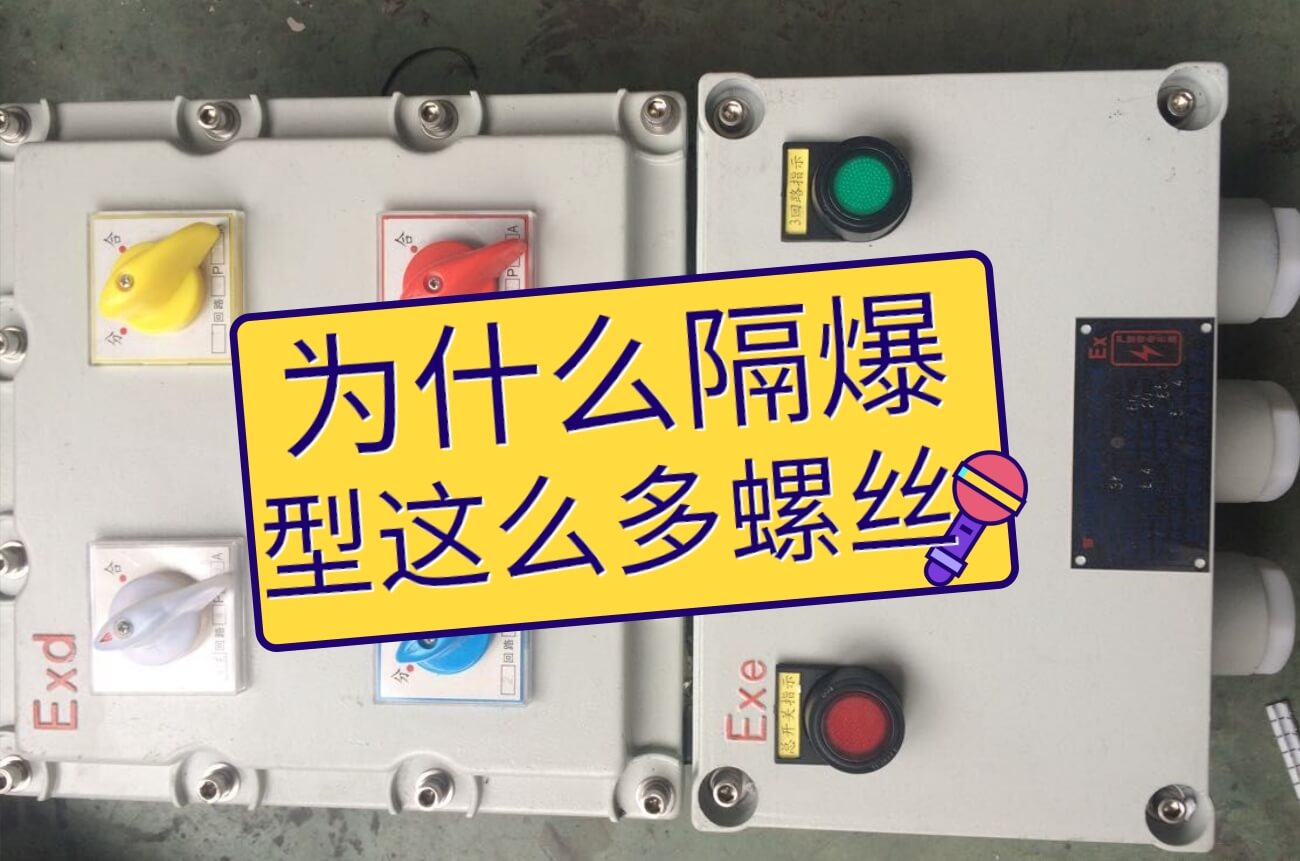 增安型和隔爆型防爆箱