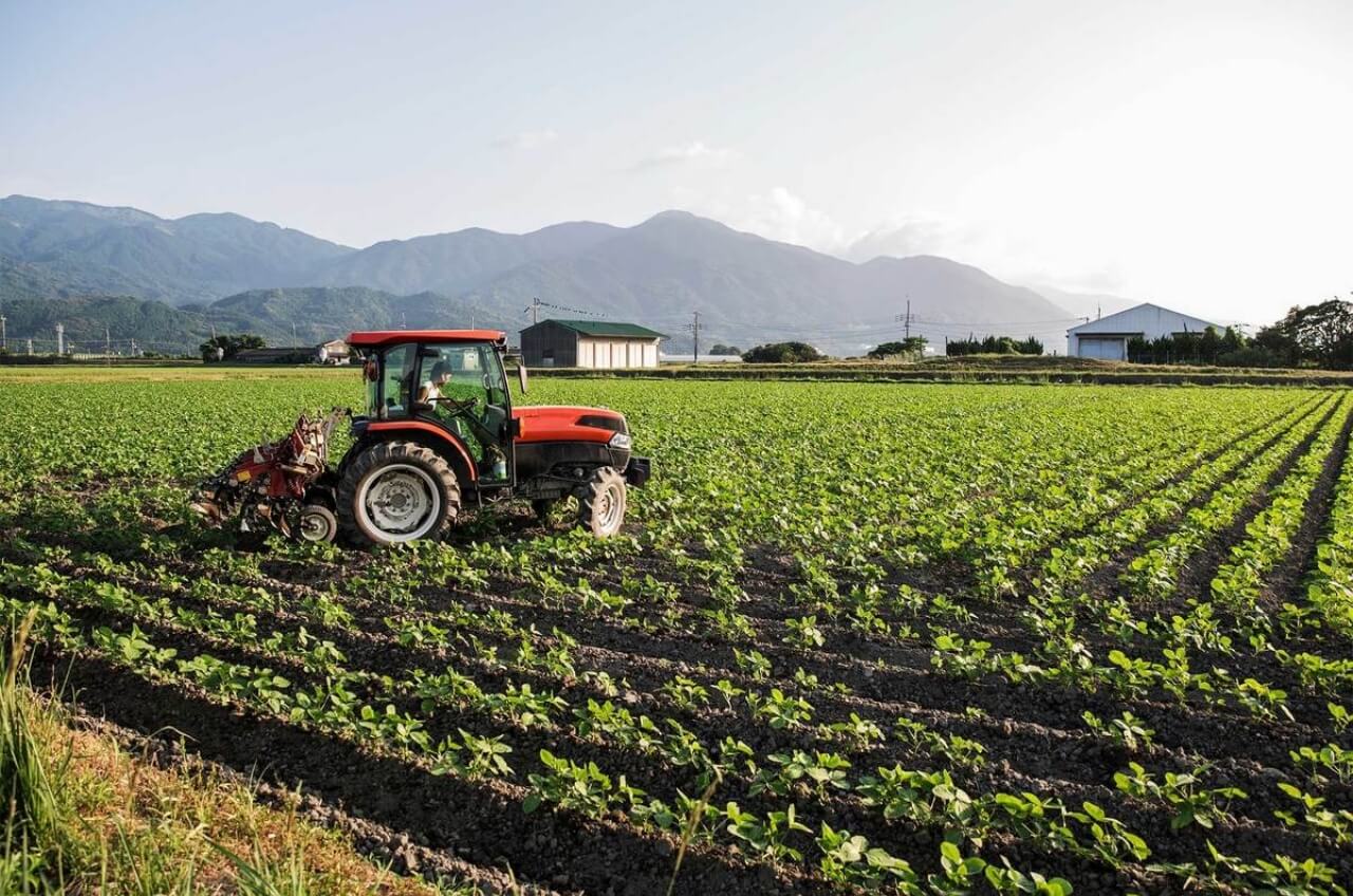 臺灣禁止在環境劑中使用這兩種化學品