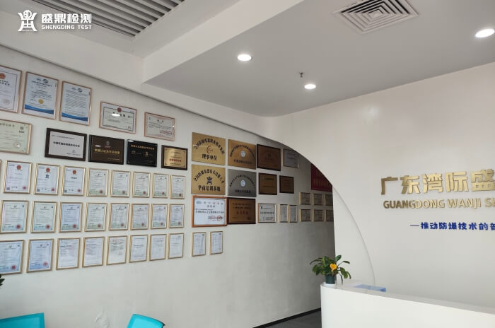 廣東灣際盛鼎檢測技術有限公司