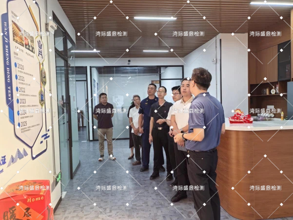 政企協(xié)同強(qiáng)監(jiān)管，共筑防爆安全線！沙田鎮(zhèn)各分局領(lǐng)導(dǎo)蒞臨灣際盛鼎開展深度交流